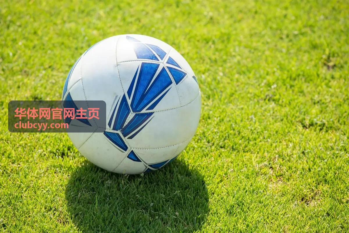 华体网官网主页收官轮冲刺与庆祝瞬间图集